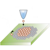 Binnig and Rohrer report invention of scanning tunneling microscope